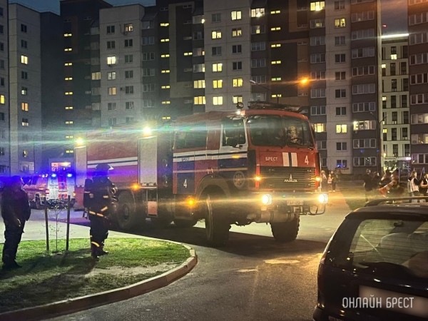 Десять новых машин получат в этом году подразделения МЧС Брестской области Десять новых машин получат в этом году подразделения МЧС Брестской области