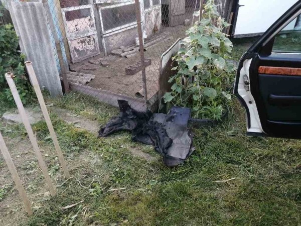 Пытался потушить авто. В Столине мужчина получил ожоги Пытался потушить авто. В Столине мужчина получил ожоги