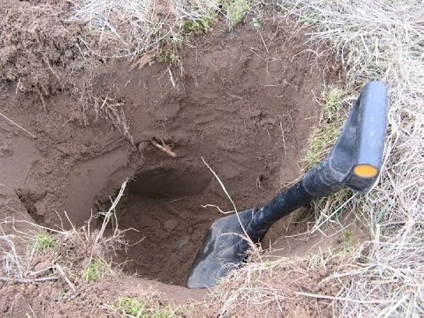 Осудили черного копателя в Барановичах