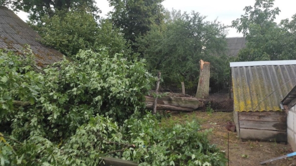 В МЧС рассказали, что натворила непогода в Брестской области В МЧС рассказали, что натворила непогода в Брестской области