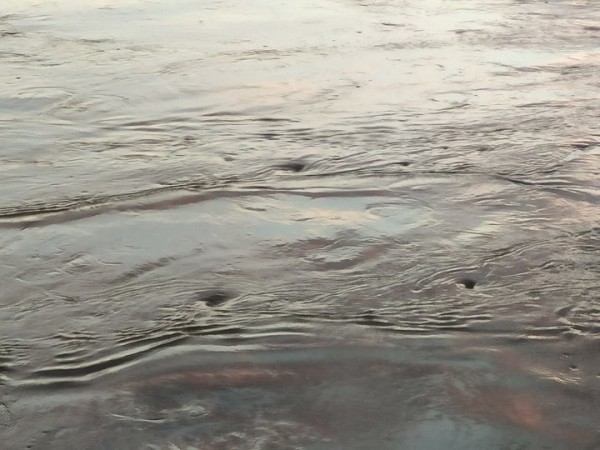 В Бресте женщина упала с моста в воду. Чем все закончилось? В Бресте женщина упала с моста в воду. Чем все закончилось?