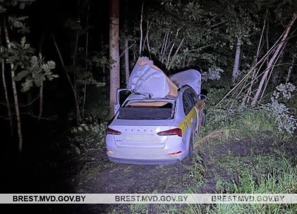 Выбежавший на дорогу лось спровоцировал ДТП в Лунинецком районе Выбежавший на дорогу лось спровоцировал ДТП в Лунинецком районе