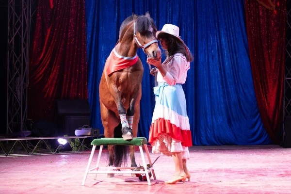 ВПЕРВЫЕ! Цирк-шапито «SIRIUS» представит в Бресте новое экстрим-шоу «Колумбийский форсаж»