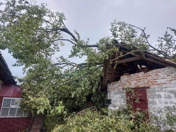 В МЧС рассказали, что натворила непогода в Брестской области В МЧС рассказали, что натворила непогода в Брестской области