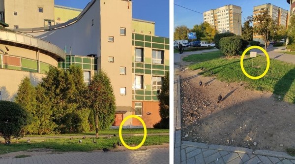 «С каких это пор в Беларуси штрафуют за кормление голубей?» Читатели показали странное объявление «С каких это пор в Беларуси штрафуют за кормление голубей?» Читатели показали странное объявление