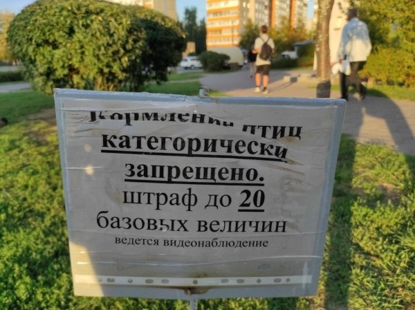 «С каких это пор в Беларуси штрафуют за кормление голубей?» Читатели показали странное объявление «С каких это пор в Беларуси штрафуют за кормление голубей?» Читатели показали странное объявление