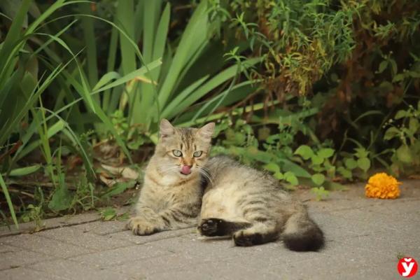 В три года весил 7 кг и спал в углу, как собака. Стали известны подробности о семье, в которой родители убили своего сына в Слуцке В три года весил 7 кг и спал в углу, как собака. Стали известны подробности о семье, в которой родители убили своего сына в Слуцке