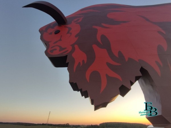 Зубр на закате. Обновленный въездной знак в Первый регион Зубр на закате. Обновленный въездной знак в Первый регион