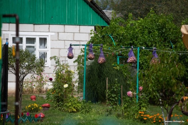 «Сосед-атомщик получил 7000 рублей». Чем живет Островец, который обогнал Минск по средней зарплате