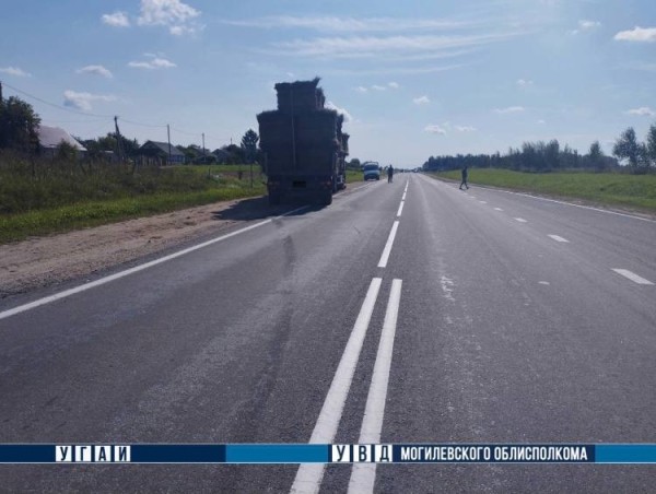 В Могилевской области грузовик насмерть сбил водителя мопеда