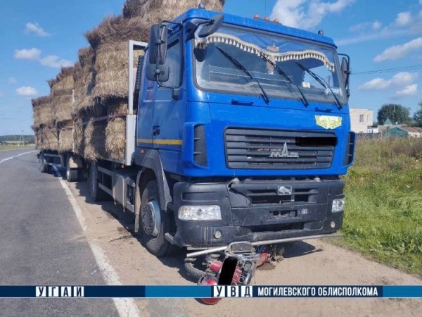 В Могилевской области грузовик насмерть сбил водителя мопеда
