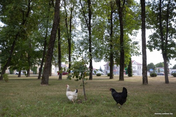 «Сосед-атомщик получил 7000 рублей». Чем живет Островец, который обогнал Минск по средней зарплате