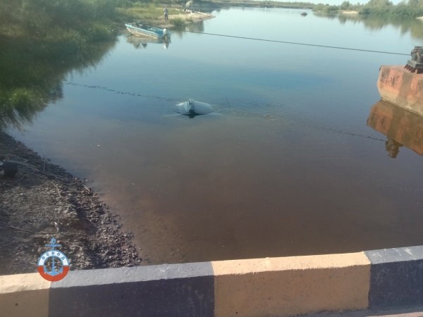 «Лада» скатилась в Припять в Гомельской области. Как это произошло?