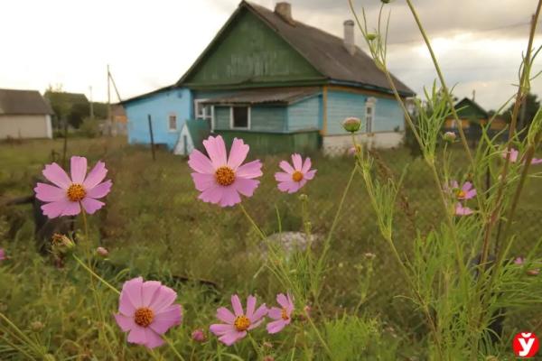 В три года весил 7 кг и спал в углу, как собака. Стали известны подробности о семье, в которой родители убили своего сына в Слуцке В три года весил 7 кг и спал в углу, как собака. Стали известны подробности о семье, в которой родители убили своего сына в Слуцке