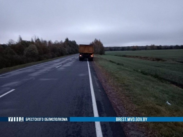 Сегодня утром грузовик сбил пешехода в Лунинецком районе