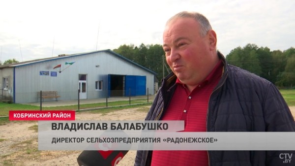 Верховая езда и основы конкура. Вот как проходит обучение конному спорту в Кобринском районе