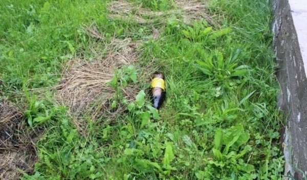 Очередной конфликт между сожителями закончился смертью женщины. Подробности трагедии Очередной конфликт между сожителями закончился смертью женщины. Подробности трагедии