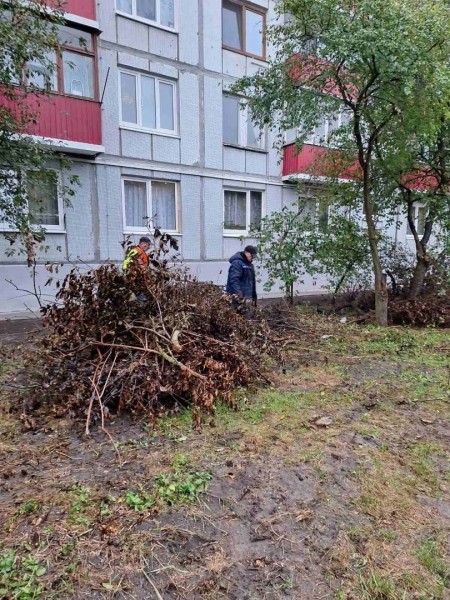 Участники «Марафона чистоты» навели порядок на Дубровке в Бресте Участники «Марафона чистоты» навели порядок на Дубровке в Бресте