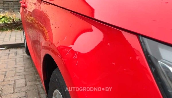 Собаки погрызли автомобиль девушки из Гродно Собаки погрызли автомобиль девушки из Гродно