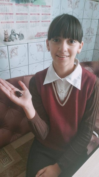 Дрогичинский район. В агрогородке Именин обнаружили жука-носорога