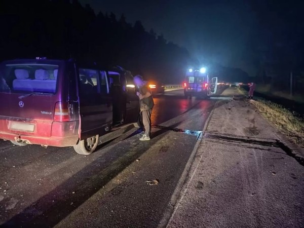 В Минском районе «Мерс» сбил лося. Пассажир в больнице В Минском районе «Мерс» сбил лося. Пассажир в больнице