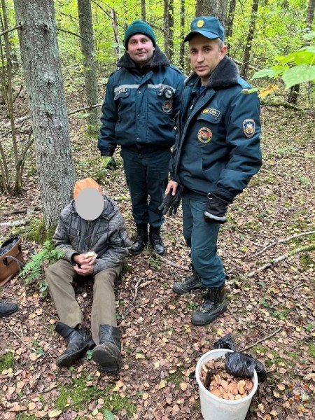 Сидел обессилевший, но с полным ведром грибов. Подробности происшествия в Барановичском районе, где заблудился грибник