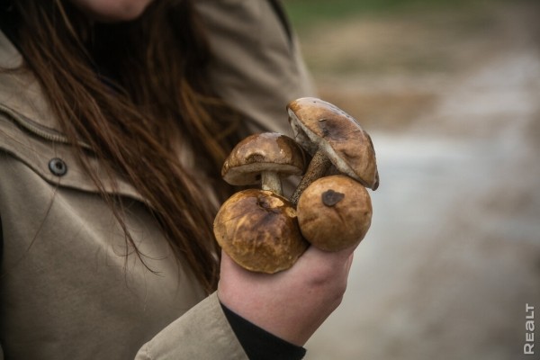 Девушка уехала из столицы в деревню в Березовском районе и нашла себе там дело — ремонтирует дом прадеда. И вот что у нее получилось Девушка уехала из столицы в деревню в Березовском районе и нашла себе там дело — ремонтирует дом прадеда. И вот что у нее получилось