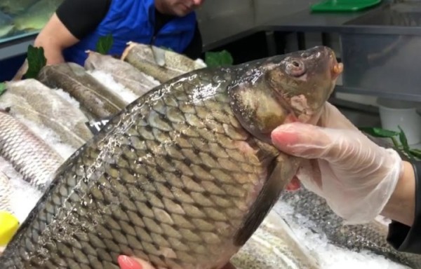 Какую живую рыбу белорусы покупают чаще всего