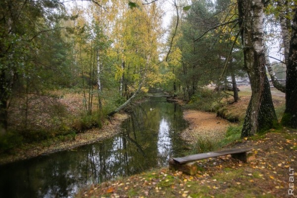 Девушка уехала из столицы в деревню в Березовском районе и нашла себе там дело — ремонтирует дом прадеда. И вот что у нее получилось Девушка уехала из столицы в деревню в Березовском районе и нашла себе там дело — ремонтирует дом прадеда. И вот что у нее получилось