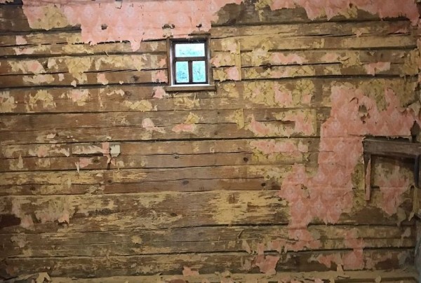 Девушка уехала из столицы в деревню в Березовском районе и нашла себе там дело — ремонтирует дом прадеда. И вот что у нее получилось Девушка уехала из столицы в деревню в Березовском районе и нашла себе там дело — ремонтирует дом прадеда. И вот что у нее получилось