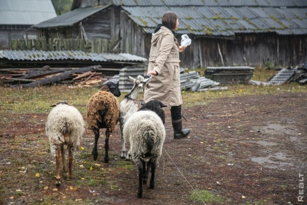 Девушка уехала из столицы в деревню в Березовском районе и нашла себе там дело — ремонтирует дом прадеда. И вот что у нее получилось Девушка уехала из столицы в деревню в Березовском районе и нашла себе там дело — ремонтирует дом прадеда. И вот что у нее получилось