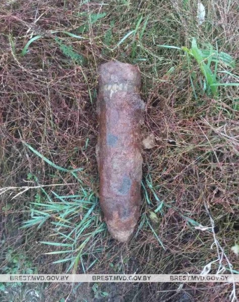 Житель Пинского района вблизи своего дома нашел снаряд времен войны