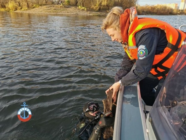 В Гомеле водолазы ОСВОД нашли кости бизона В Гомеле водолазы ОСВОД нашли кости бизона