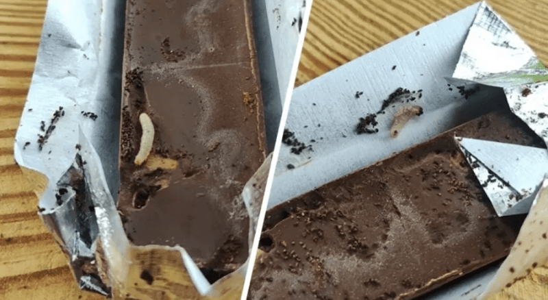 Белорус нашел живых червей в шоколаде «Коммунарка»   Белорус нашел живых червей в шоколаде «Коммунарка»