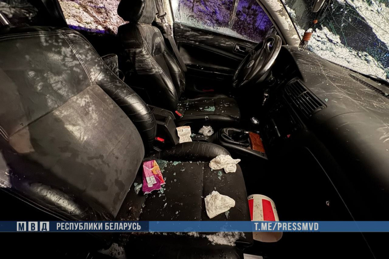 В Витебской области в ДТП погибла полуторагодовалая девочка В Витебской области в ДТП погибла полуторагодовалая девочка