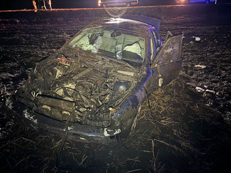 Лось стал причиной ДТП — пассажир и водитель в больнице Лось стал причиной ДТП — пассажир и водитель в больнице