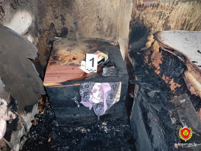 В Беларуси собака играла с телефоном и сожгла квартиру — погибла хозяйка