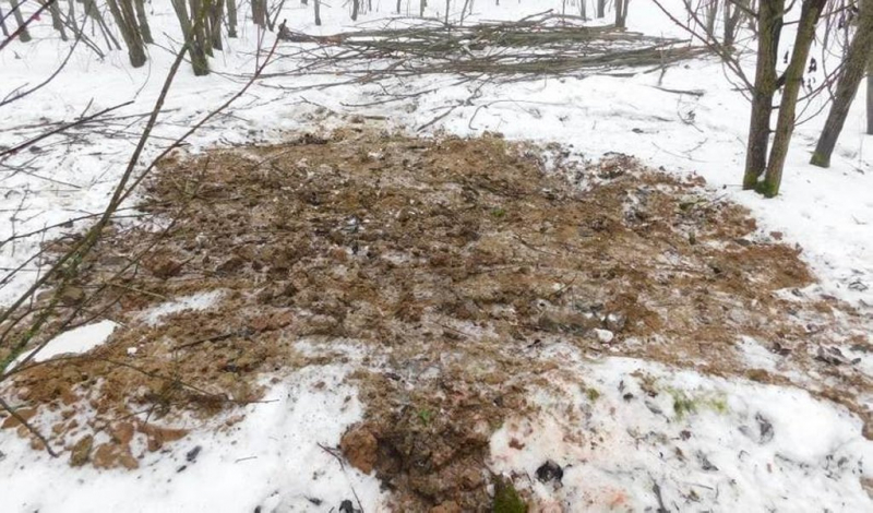 Ущерб составил 38 тысяч рублей: охота на трофейного лося привела к уголовному делу