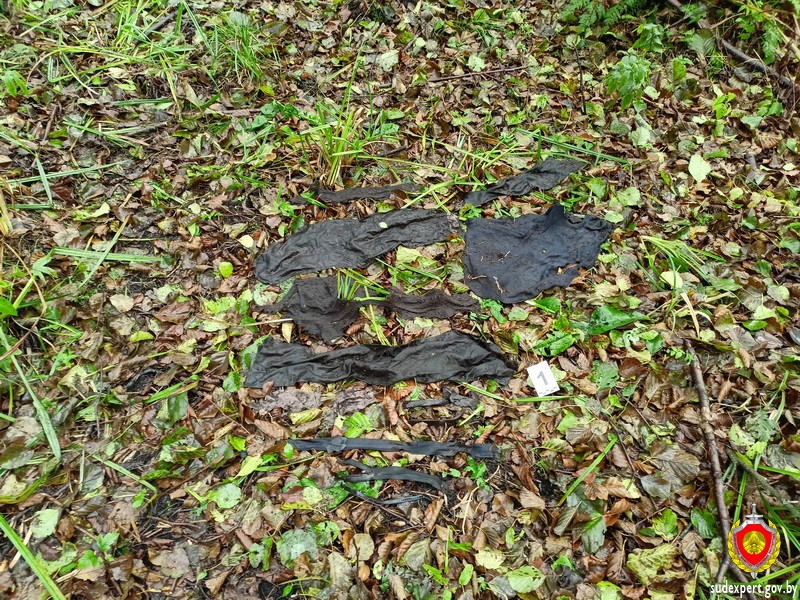 В Ивановском районе обнаружены останки мужчины, пропавшего более 20 лет назад В Ивановском районе обнаружены останки мужчины, пропавшего более 20 лет назад