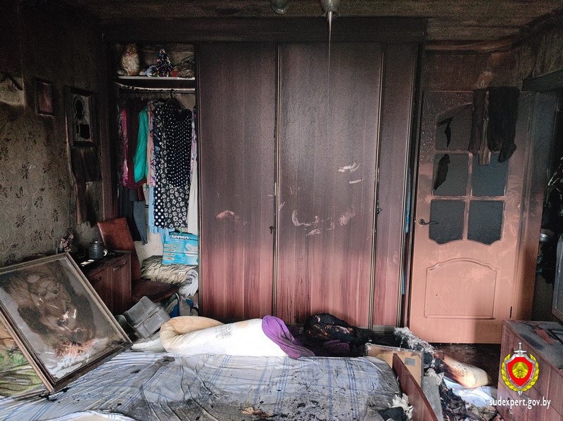 В Беларуси собака играла с телефоном и сожгла квартиру — погибла хозяйка