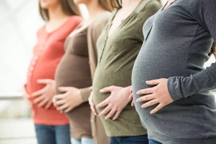 Стало известно, сколько денег выделяют из бюджета на одну беременность и роды в Беларуси Стало известно, сколько денег выделяют из бюджета на одну беременность и роды в Беларуси