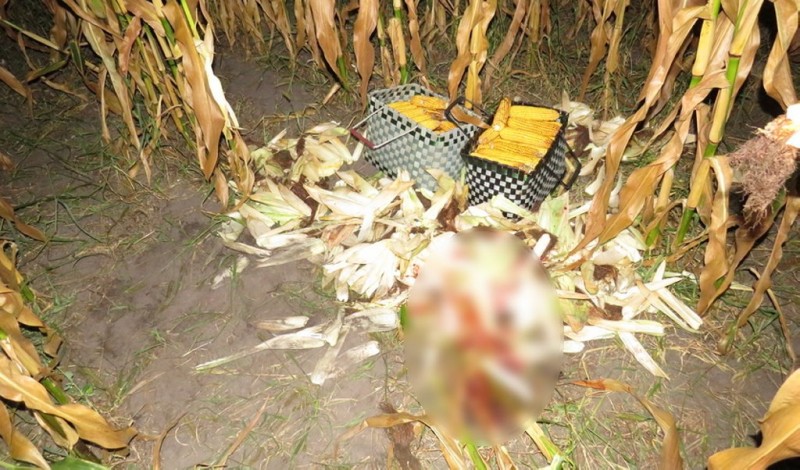 Житель Брестской области перепутал кабана с человеком. Суд вынес приговор по делу об убийстве во время охоты Житель Брестской области перепутал кабана с человеком. Суд вынес приговор по делу об убийстве во время охоты