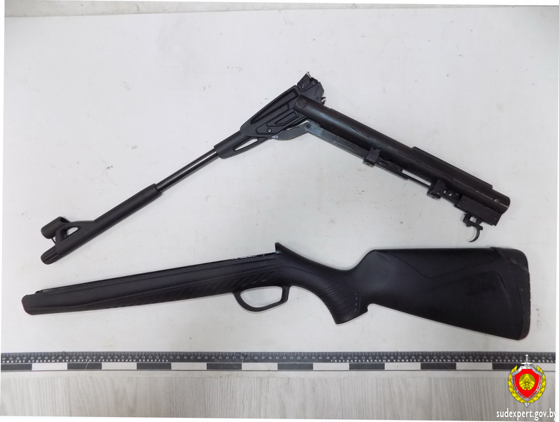 В Брестской области женщина случайно прострелила себе руку В Брестской области женщина случайно прострелила себе руку