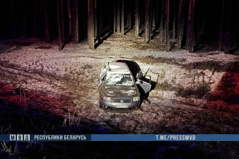 В Витебской области в ДТП погибла полуторагодовалая девочка В Витебской области в ДТП погибла полуторагодовалая девочка