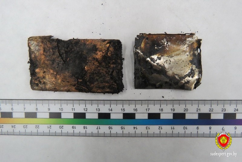 В Беларуси собака играла с телефоном и сожгла квартиру — погибла хозяйка