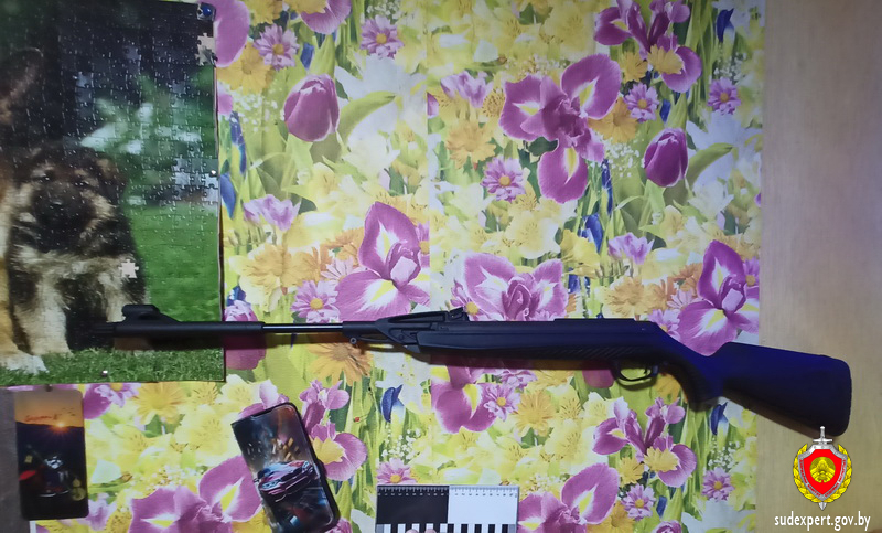 В Брестской области женщина случайно прострелила себе руку В Брестской области женщина случайно прострелила себе руку