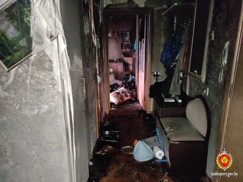 В Беларуси собака играла с телефоном и сожгла квартиру — погибла хозяйка