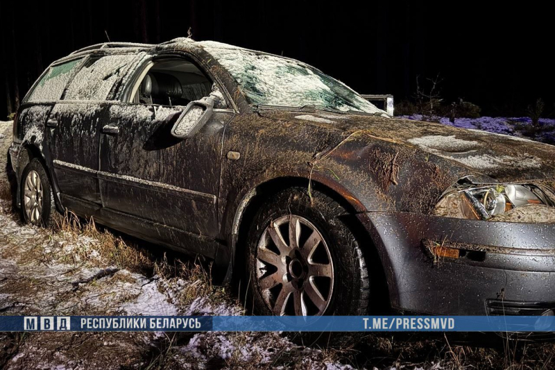 В Витебской области в ДТП погибла полуторагодовалая девочка В Витебской области в ДТП погибла полуторагодовалая девочка