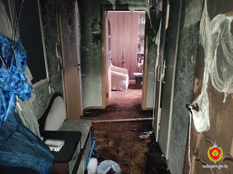 В Беларуси собака играла с телефоном и сожгла квартиру — погибла хозяйка