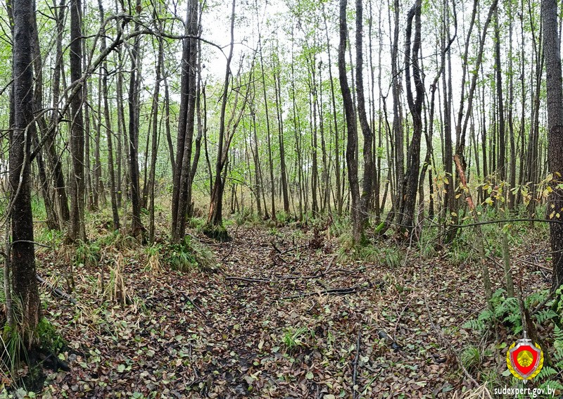 В Ивановском районе обнаружены останки мужчины, пропавшего более 20 лет назад В Ивановском районе обнаружены останки мужчины, пропавшего более 20 лет назад